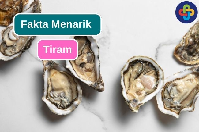 9 Fakta Menarik Tiram yang Perlu Kamu Ketahui